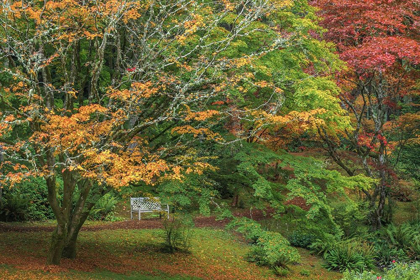 Picture of GARDEN PATH