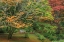 Picture of GARDEN PATH