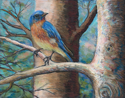 Picture of BLUE BIRD