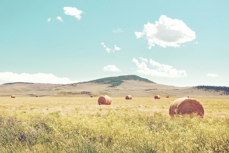 Picture of A DAY IN THE FIELDS