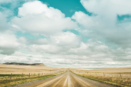 Picture of DIRT ROAD TRAVELS