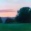 Picture of LAWN AT TWILIGHT
