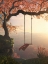 Picture of TREE SWING