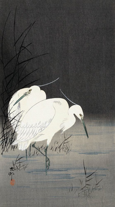 Picture of TWO EGRETS IN THE REEDS, 1900-1930