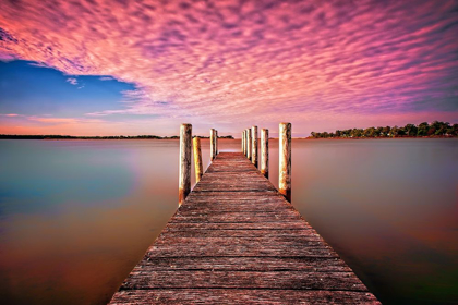 Picture of PINK PIER