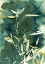 Picture of BAMBOO GARDEN