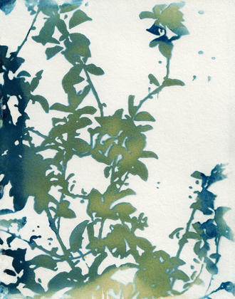 Picture of SHADOW FLORAL