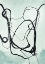 Picture of FINE LINE 2