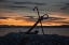 Picture of ANCHOR