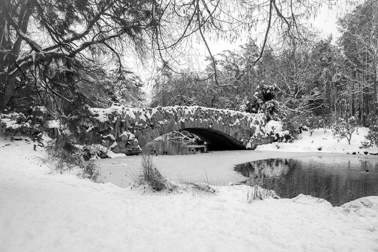 Picture of STONE BRIDGE