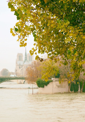 Picture of NOTRE DAME 2