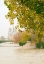 Picture of NOTRE DAME 2