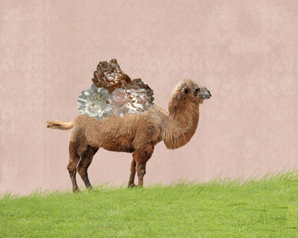 Picture of CAMEL ON PINK