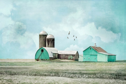 Picture of AQUA BARNS