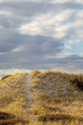 Picture of DUNES TRAIL