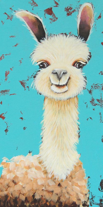 Picture of LLAMA SUE