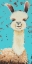 Picture of LLAMA SUE