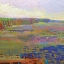 Picture of COLOR FIELD 24