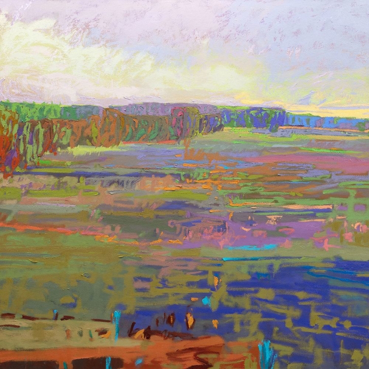 Picture of COLOR FIELD 24