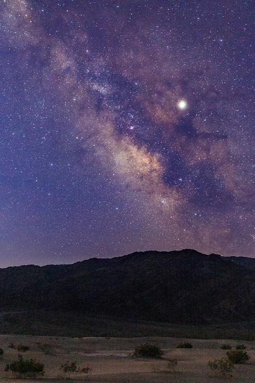 Picture of MESQUITE MILKY WAY