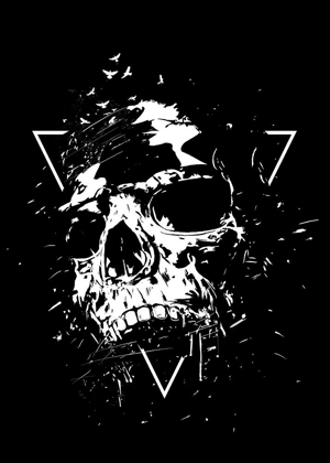 Picture of SKULL X (BW)