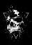 Picture of SKULL X (BW)