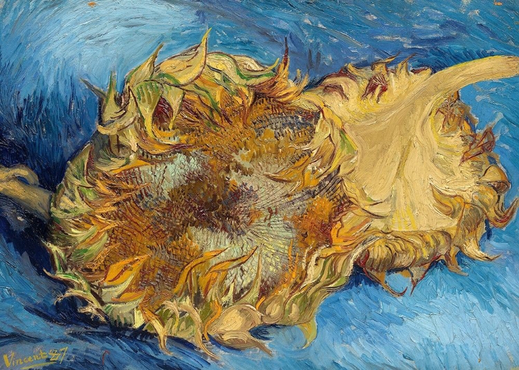 Picture of SUNFLOWERS, 1887