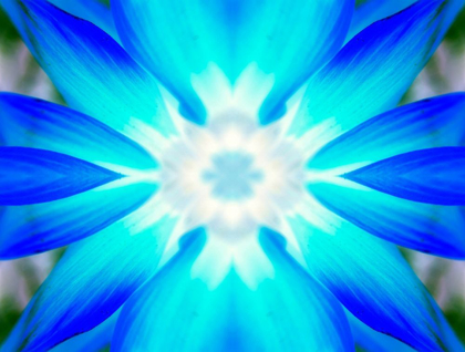 Picture of FLOWER MEDALLION V