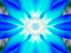 Picture of FLOWER MEDALLION V