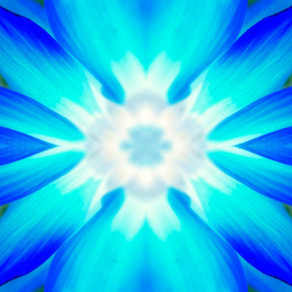 Picture of FLOWER MEDALLION IV