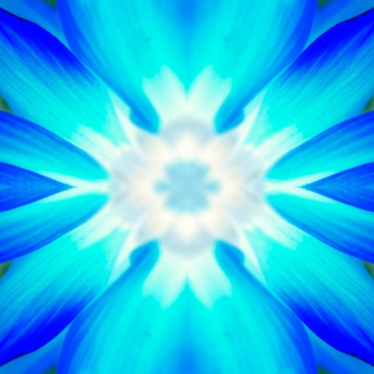 Picture of FLOWER MEDALLION IV