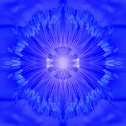 Picture of FLOWER MEDALLION I