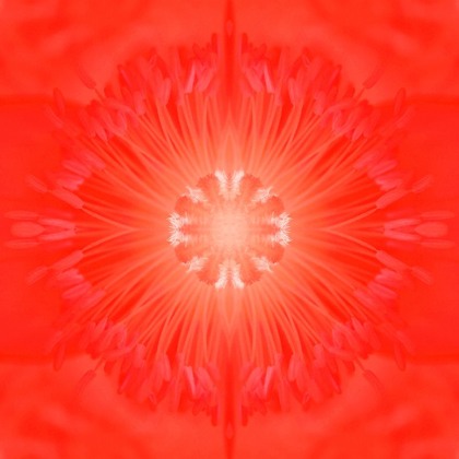 Picture of FLOWER MEDALLION III