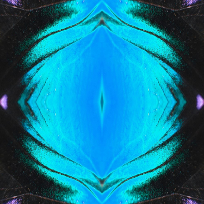 Picture of BUTTERFLY EYE II
