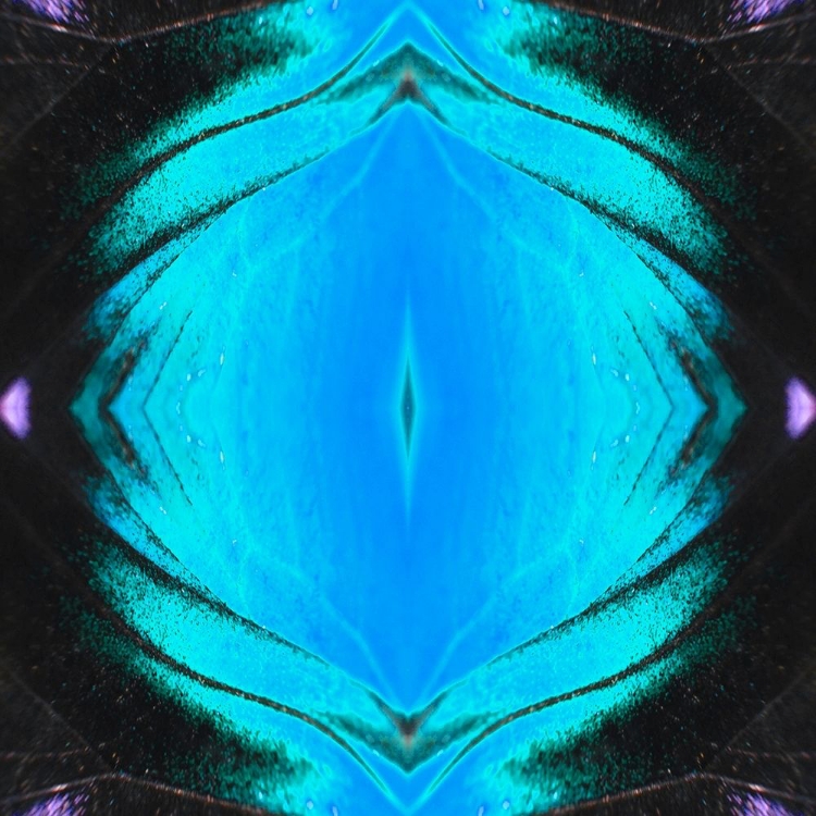 Picture of BUTTERFLY EYE II