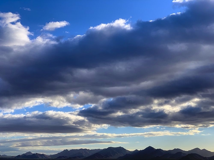 Picture of MCDOWELL MOUNTAINS