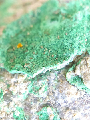 Picture of TURQUOISE AGGREGATE IV