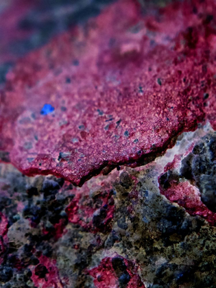 Picture of RED AGGREGATE I