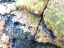 Picture of JADE AGGREGATE I