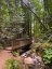 Picture of FOREST BRIDGE III