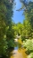 Picture of SALMON STREAM I