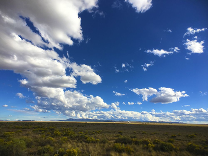 Picture of BIG SKY I