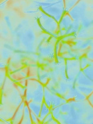 Picture of CONFETTI I