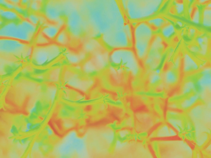Picture of CONFETTI II
