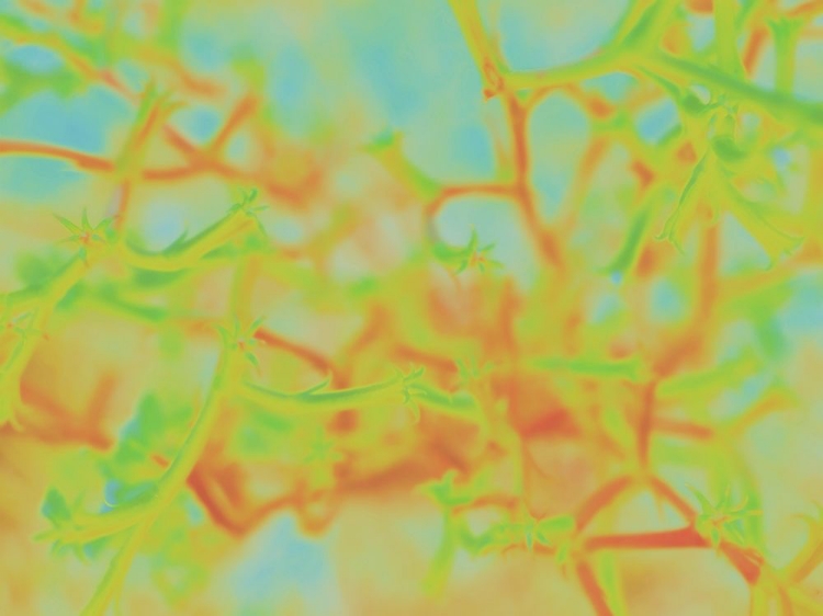 Picture of CONFETTI II