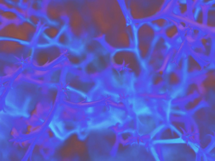 Picture of CONFETTI III