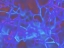 Picture of CONFETTI III