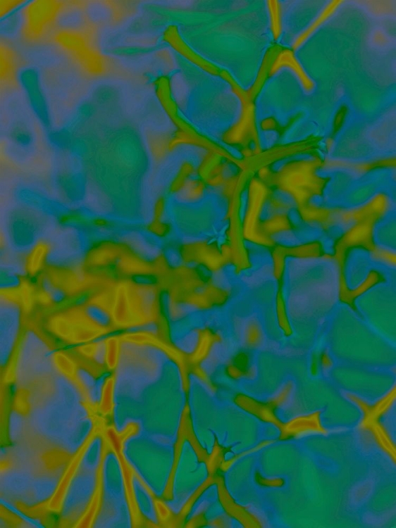 Picture of CONFETTI IV