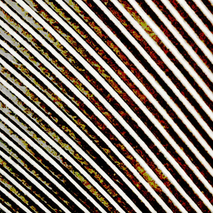 Picture of FEATHER ABSTRACTION II