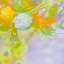 Picture of COLOR BLAST V